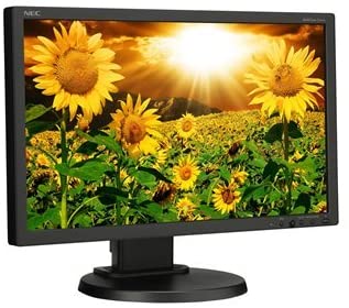 MONITOR, 20" LCD MULTISYNC E201W-BK BLACK Information Technology DEX 