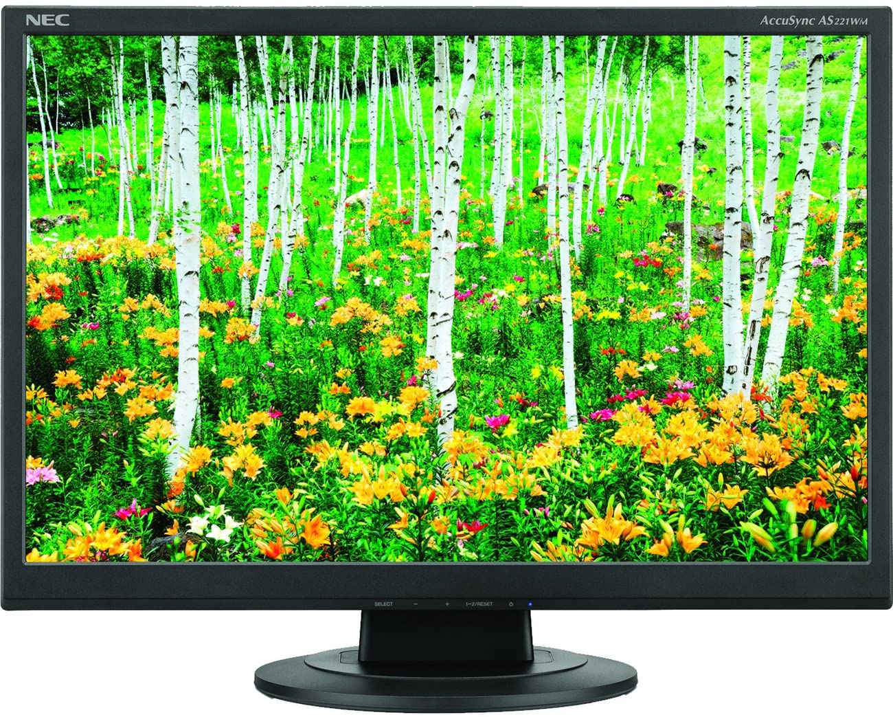 MONITOR, 22" LCD BLACK Information Technology DEX 